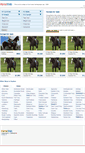 Mobile Screenshot of horseweb.com